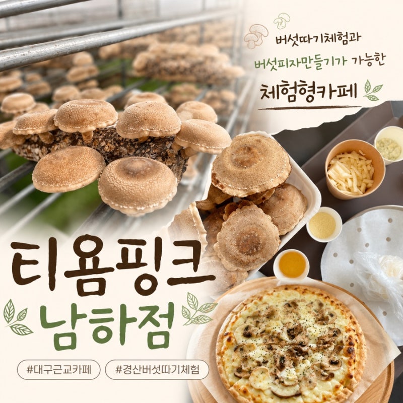 대구근교 아이와 경산 버섯따기체험 수영장 카페 티욤핑크 남하점
