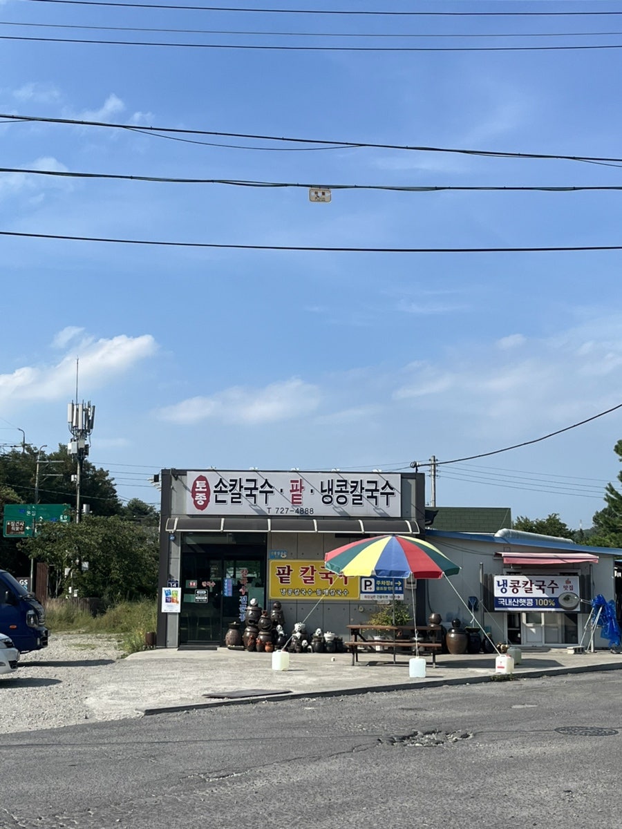 토종손칼국수 사진 2