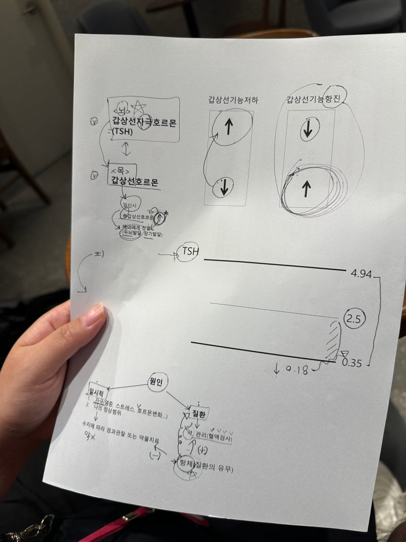 임산부 갑상선 수치 낮음 항진증 증상으로 내분비과 진료