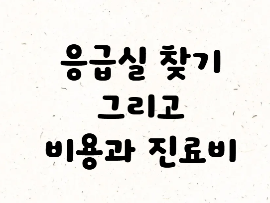 일요일 응급실 찾기부터 비용 진료비 총정리! 응급의료관리료 아끼고 빠르게 진료받는 법
