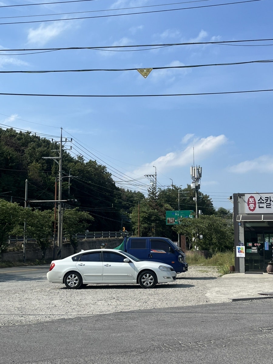 토종손칼국수 사진 3