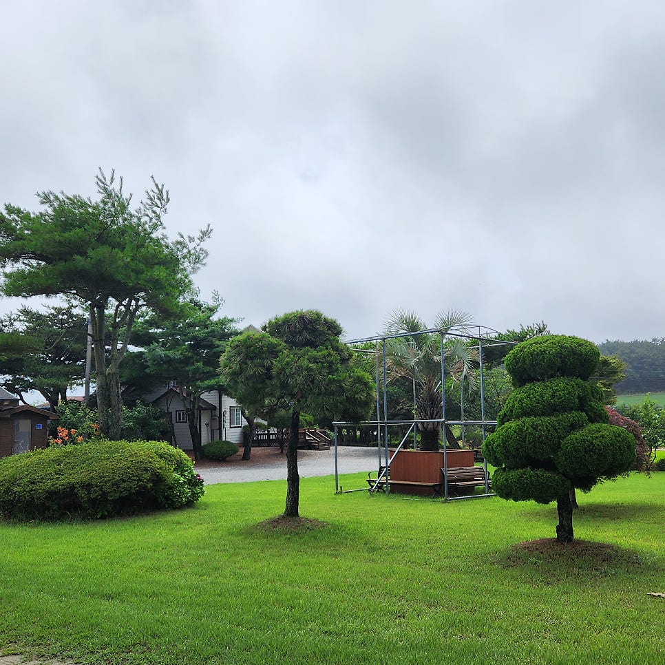 마실 사진 6