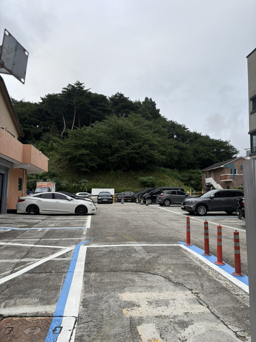 30미리미터 사진 4