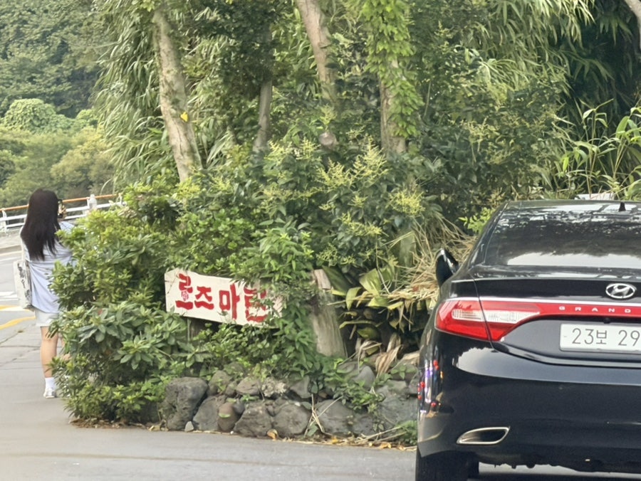 로즈마린 사진 4