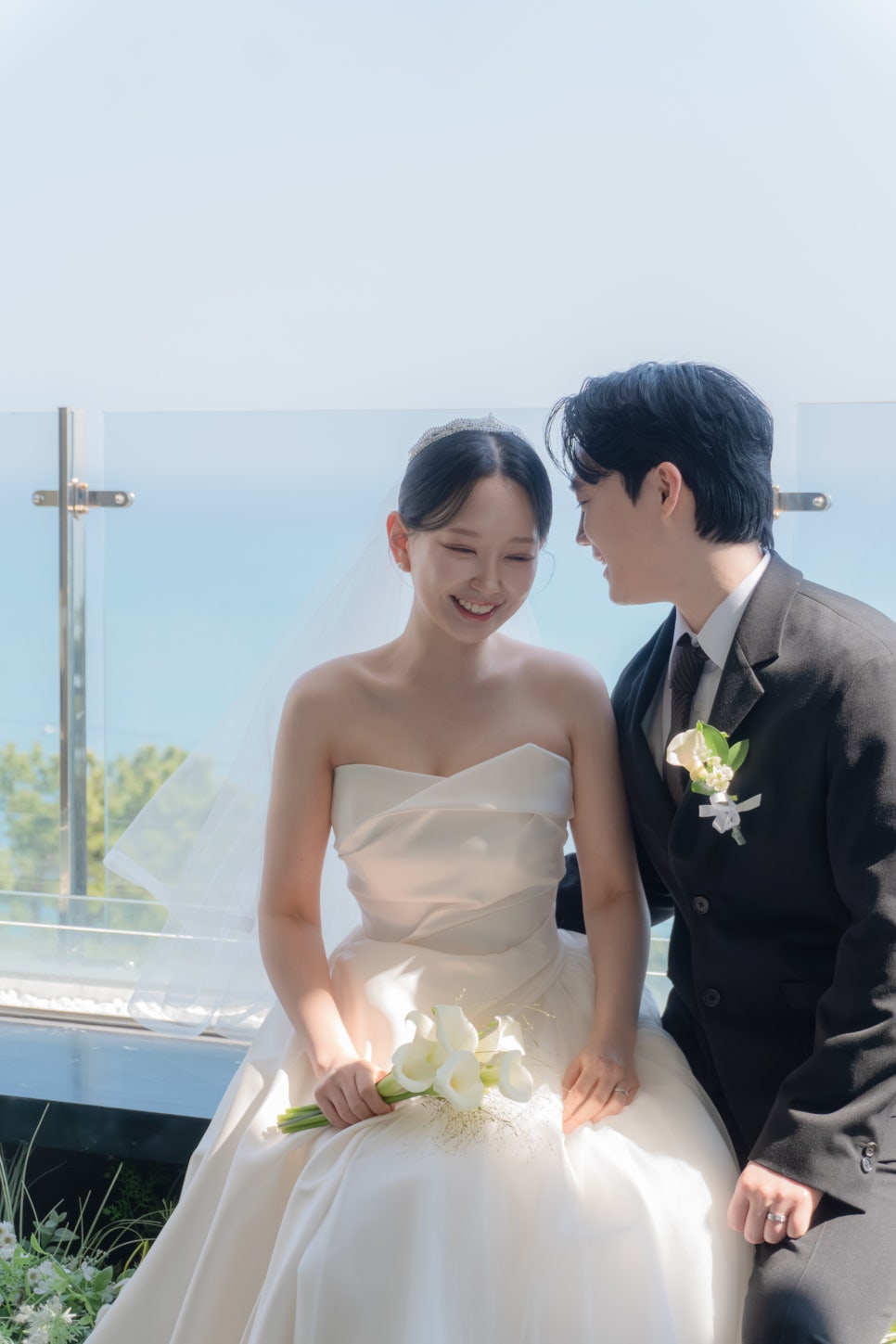 블렌디 사진 1