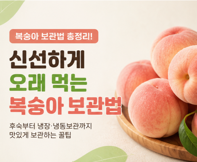 복숭아 보관법 총정리! 냉장보관부터 후숙까지 오래 맛있게 먹는 방법