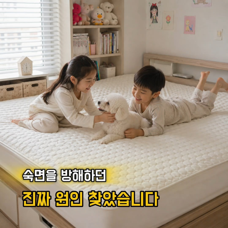 침대 매트리스 집먼지 진드기 알러씰 진드기 차단 올인원 매트리스커버로 해결 추천