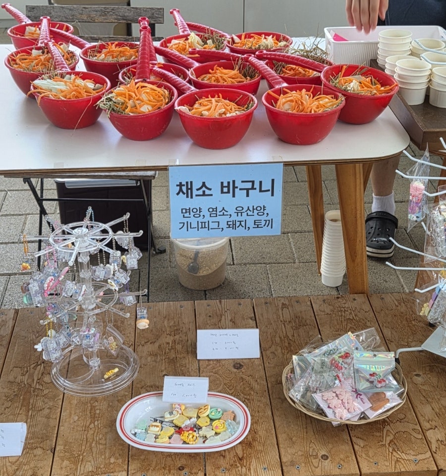 포레스트 사진 5