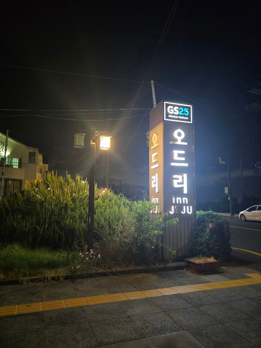 오드리인 제주 사진 2