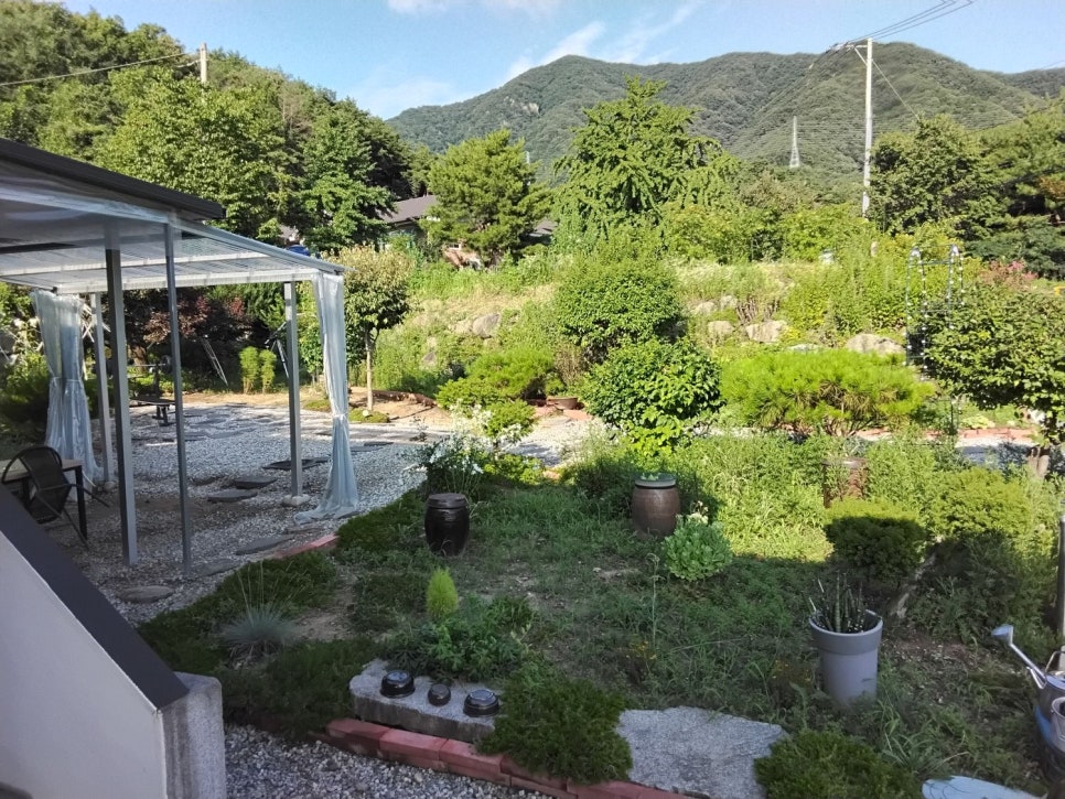 쉼 사진 2