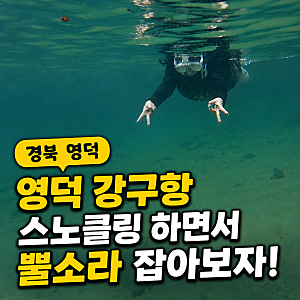 영덕 강구항 스노쿨링, 수영 못하는 초보 준비물과 뿔소라 잡기