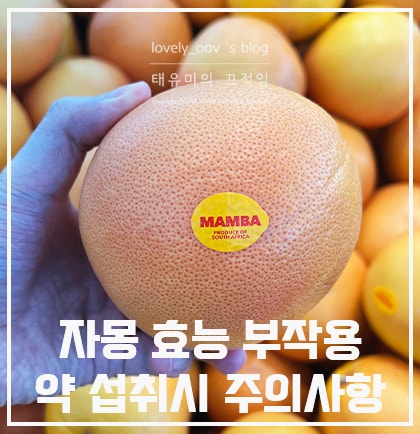 자몽 효능과 부작용, 약 복용중이라면 꼭 확인하세요!