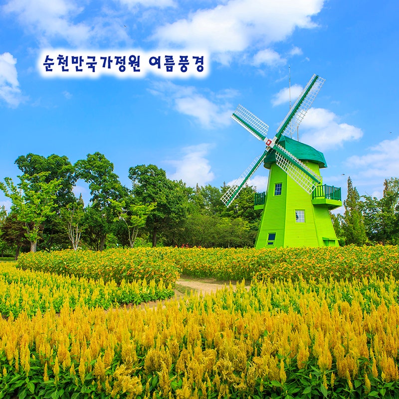 순천 가볼만한곳 순천만국가정원 스카이큐브 8월 여행지 추천