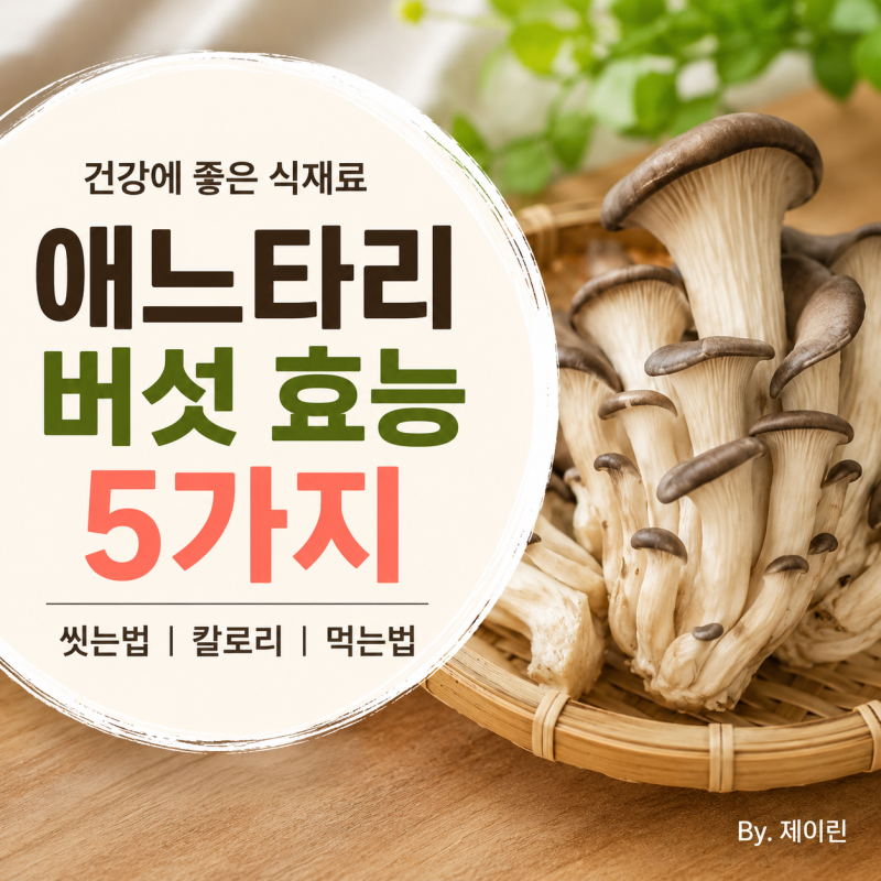 애느타리버섯효능 5가지 씻는법과 칼로리 먹는 법