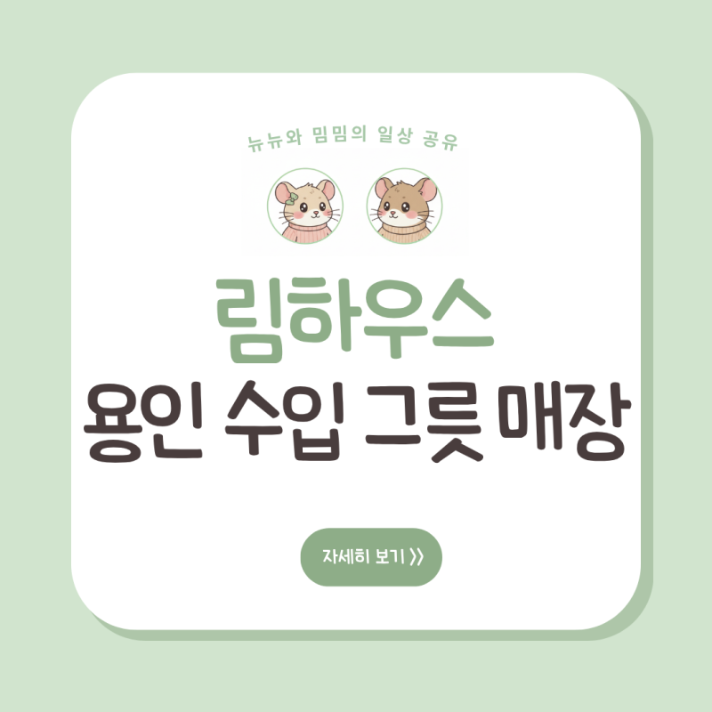 [일상] 용인 그릇 할인매장 '림하우스'! 빌레로이앤보흐부터 르크루제까지 방문 후기(feat.신....