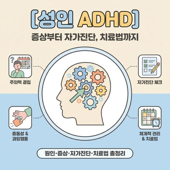 성인 ADHD 증상 및 원인, 일상생활을 돕는 치료법과 자가진단
