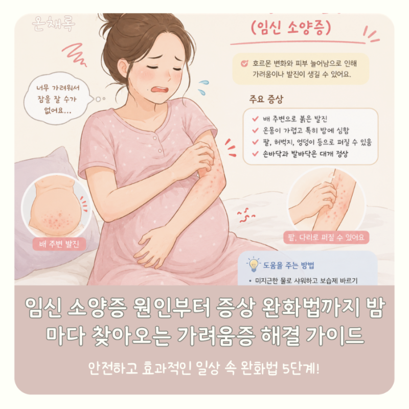 임신 소양증 원인부터 증상 완화법까지 밤마다 찾아오는 가려움증 해결 가이드