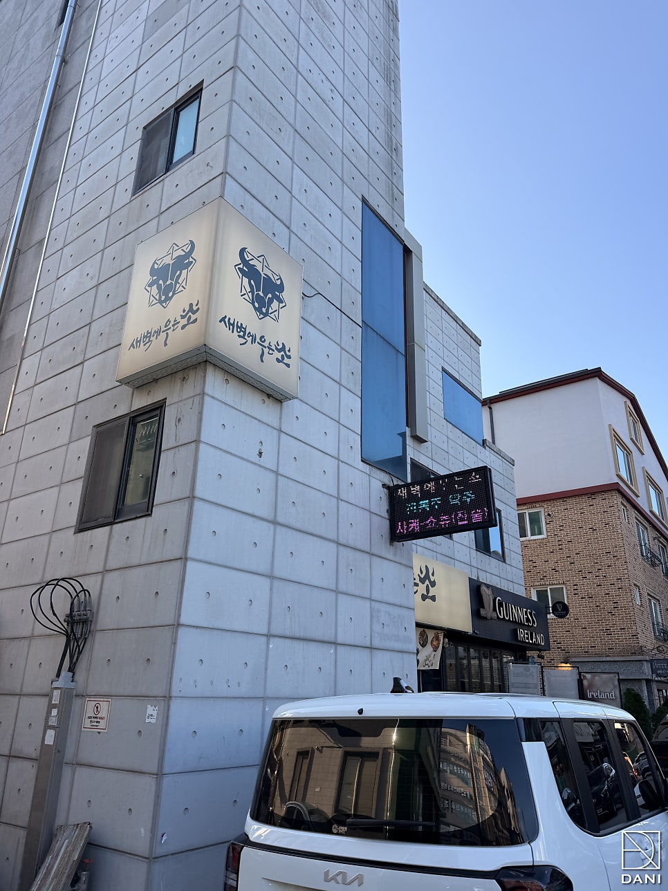 새벽에우는소 사진 3