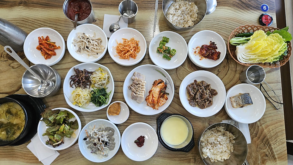 벽오동 사진 6