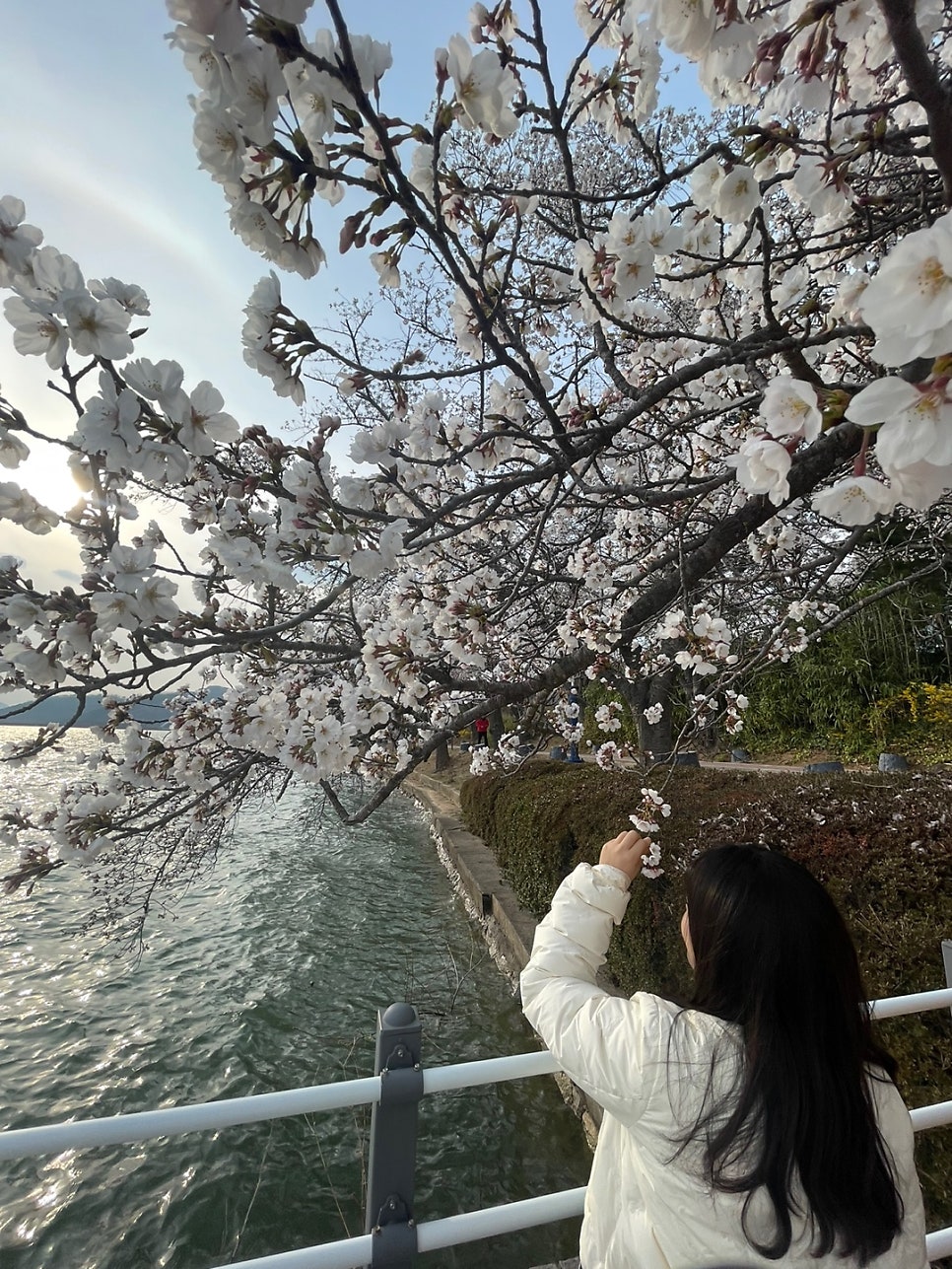 용명횟집 사진 3