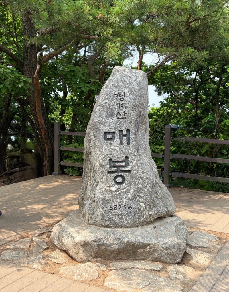 청계산입구역~원터골마당 출발~매봉 정상~청계산입구역 청계산등산코스, 청계산 최애맛집 2....