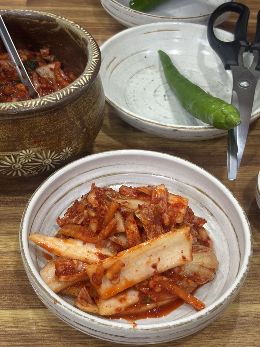 제갈콩명 사진 3