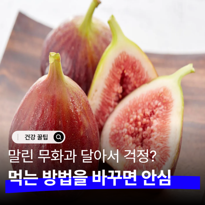 말린 무화과 효능, 칼로리는 높아도 '이것'과 먹으면 다이어트 중이라도 안심