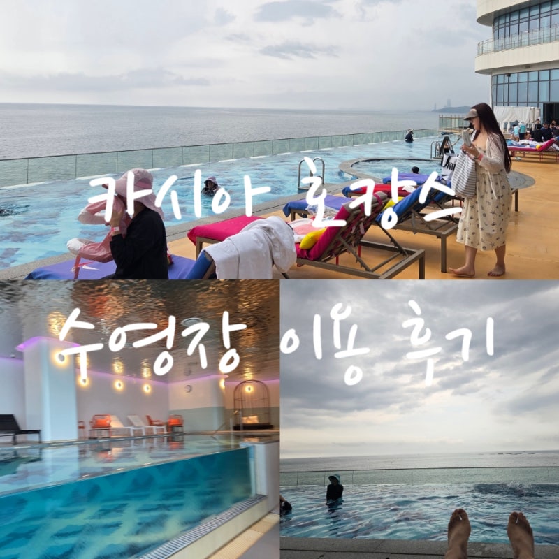 카시아 속초 호텔 앤 리조트 수영장 50% 할인 내돈내산 호캉스 후기