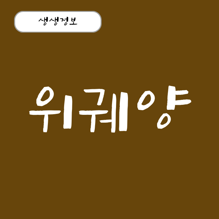 위궤양 원인과 증상 치료법 약 효과 , 위염과 차이점