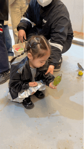 아침고요가족동물원 :: 30개월 아기랑 가평 가볼 만한 곳으로 추천! 먹이 체험까지!