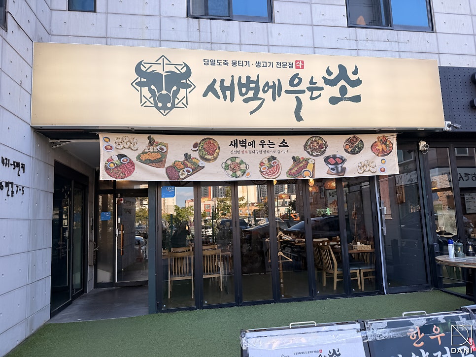 새벽에우는소 사진 5