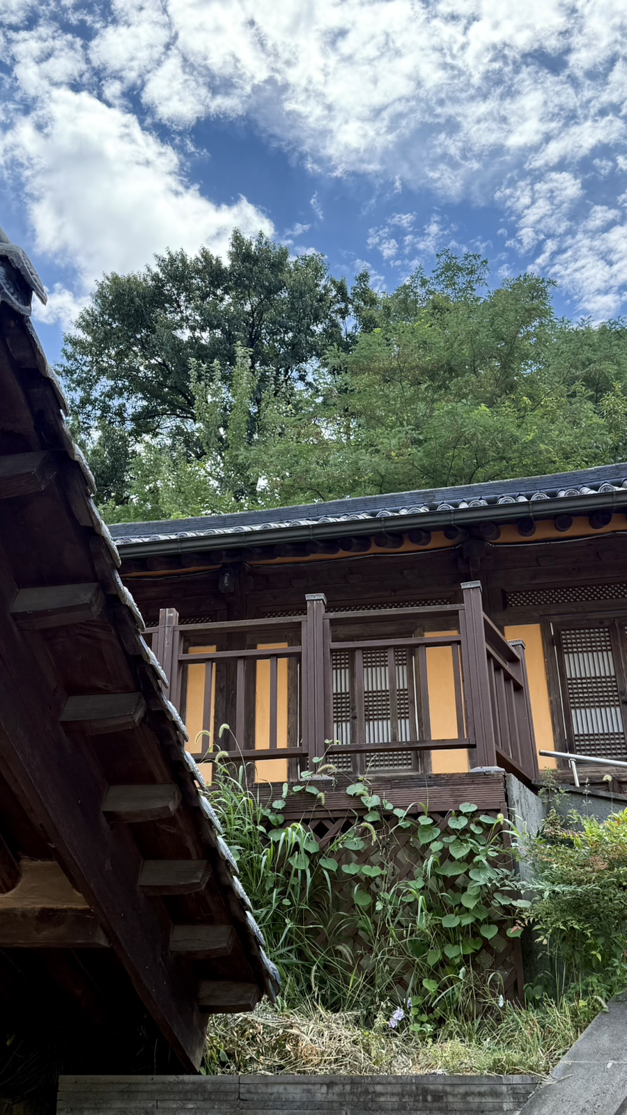 홍아네 사진 1