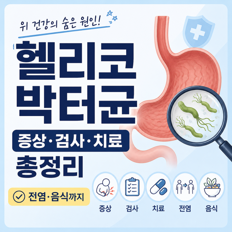 헬리코박터균, 증상부터 검사·치료·전염·음식까지 총정리