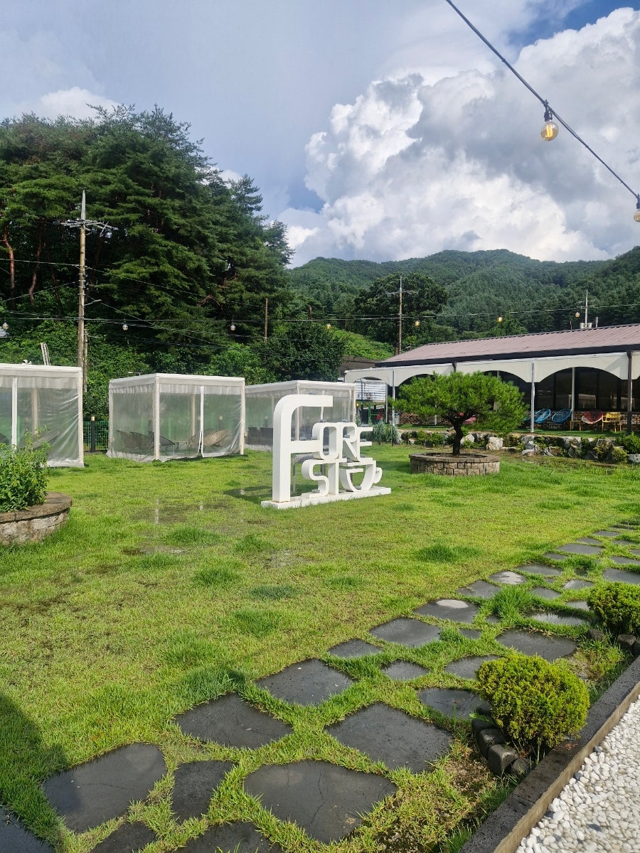 포레스트 사진 4