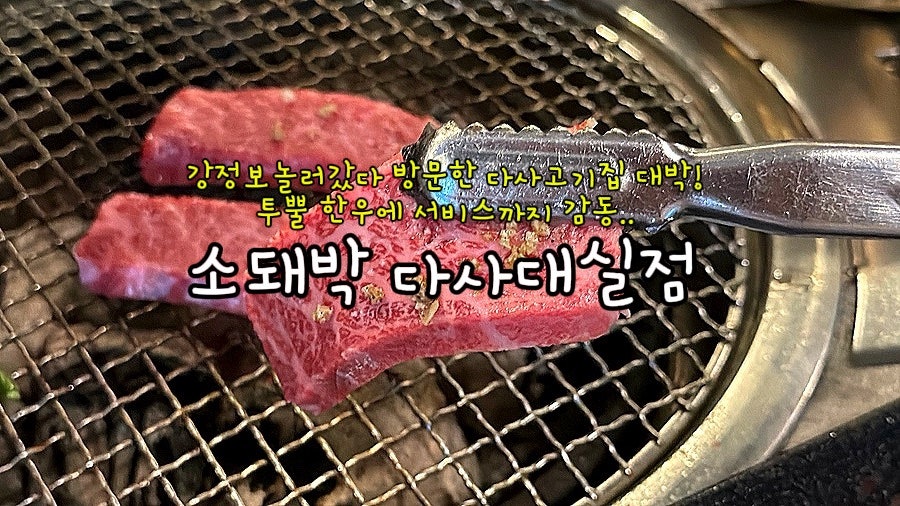 소돼박 사진 1