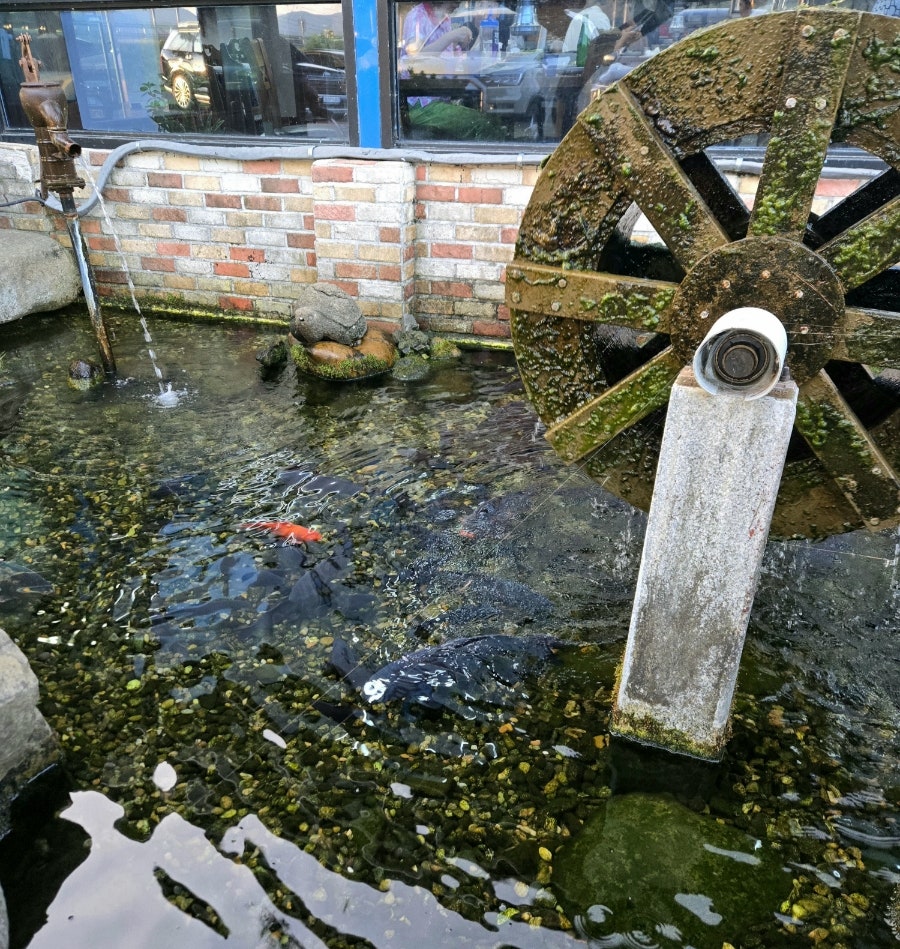 군위참좋은한우직판장 사진 4
