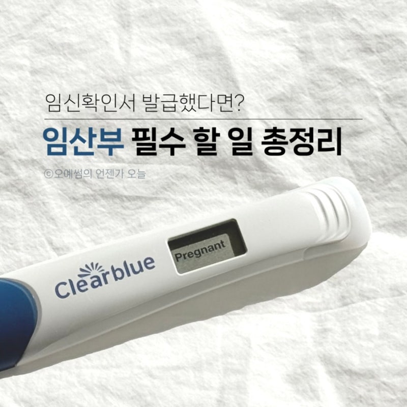 임신확인서 발급 후 임산부 필수 해야할 일 총정리