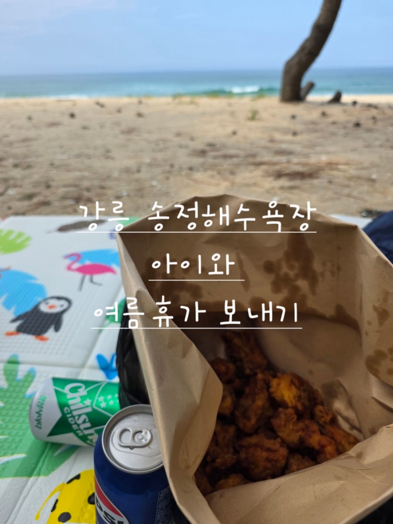 아이와 여름휴가 보내기 추천 강릉 송정해수욕장 솔밭 돗자리 통닭 필수품