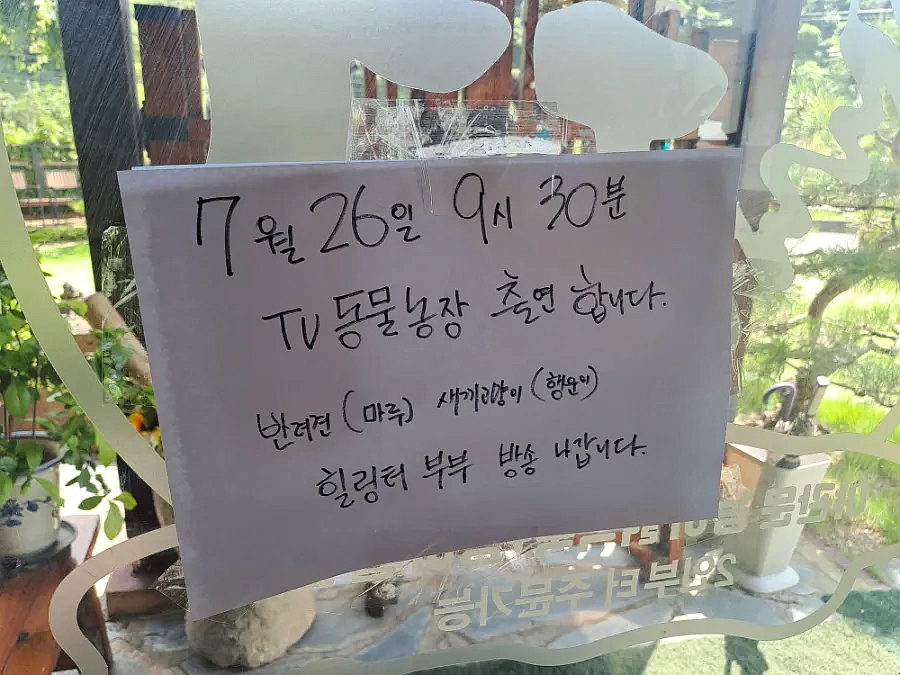 힐링터야관문능이백숙 사진 3