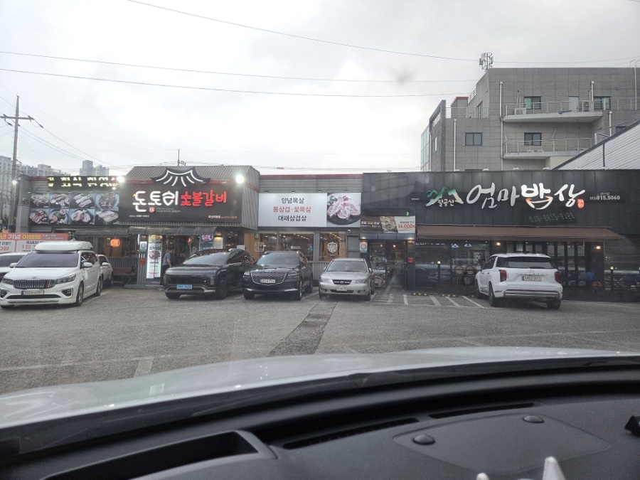 백년회로 사진 3