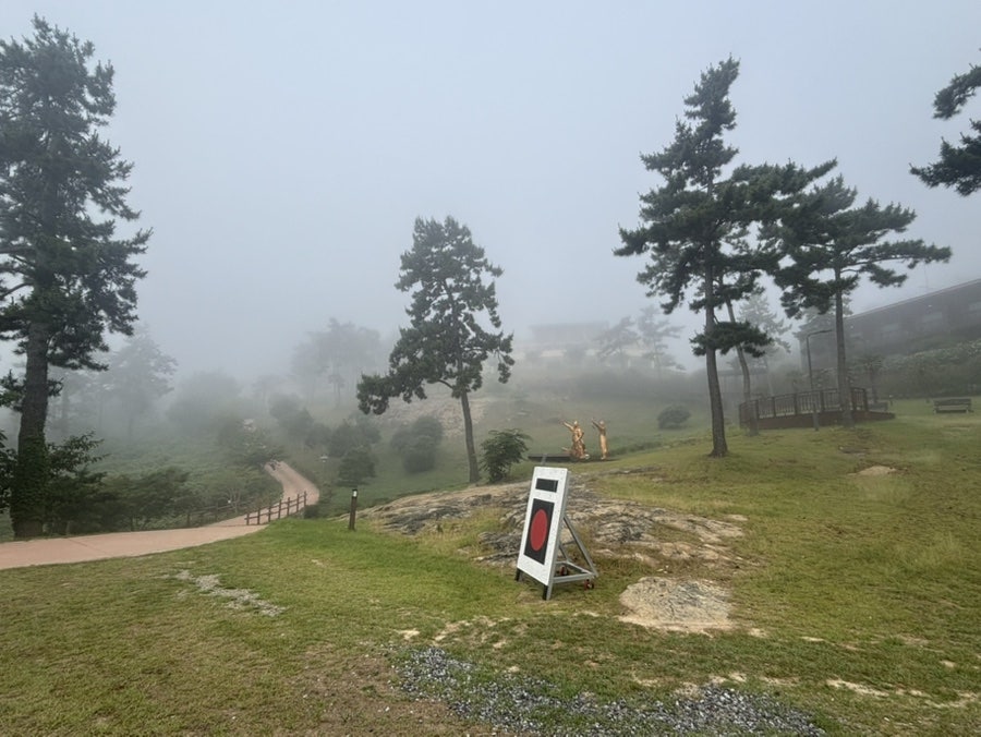 대명춘 사진 2