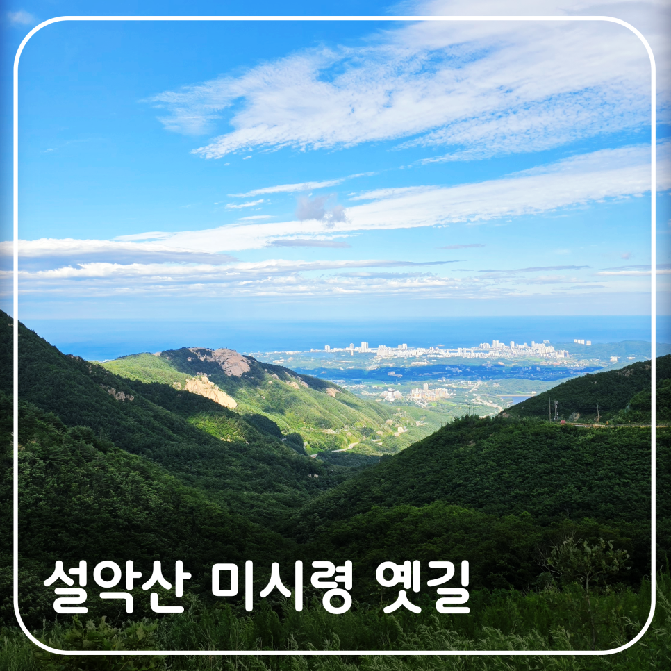전망대 사진 1