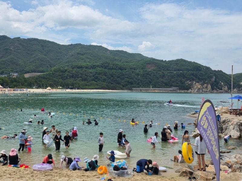 삼척 장호해수욕장 물놀이 후기, 장호항 스노쿨링 파라솔 대여 운영시간