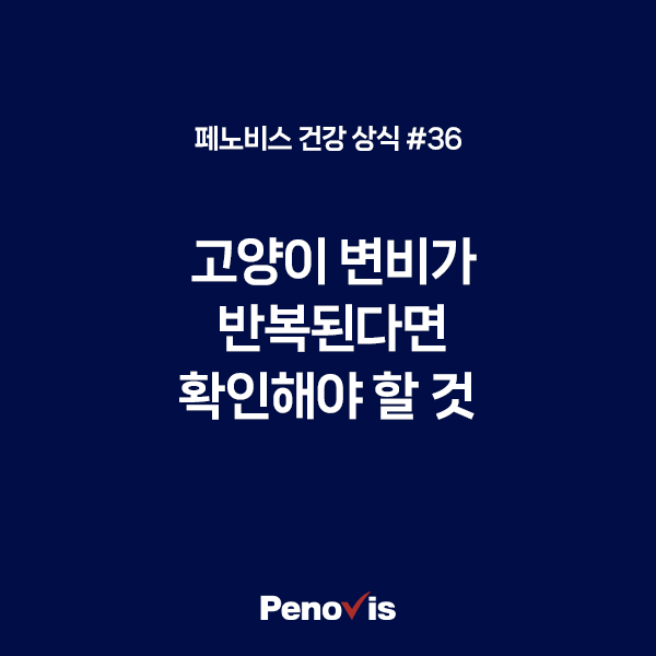 고양이 변비·토끼똥, 반복된다면 확인해야 할 것