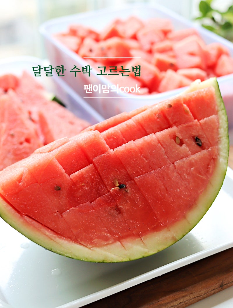수박 자르는법 네모 맛있는 수박 고르는 방법 보관법 칼로리까지