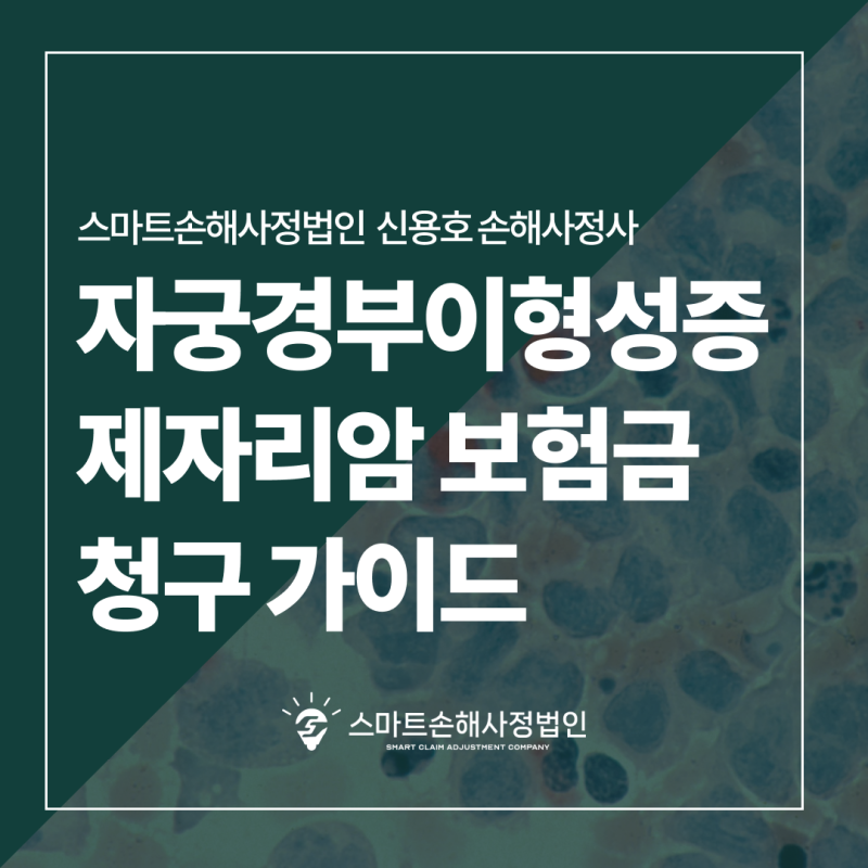 자궁경부이형성증 보험금 청구 가이드: CIN 단계별 진단비, 제자리암 청구 가능 여부 (FEAT. 부....