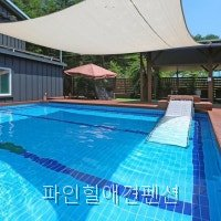 파인힐애견펜션 사진 5