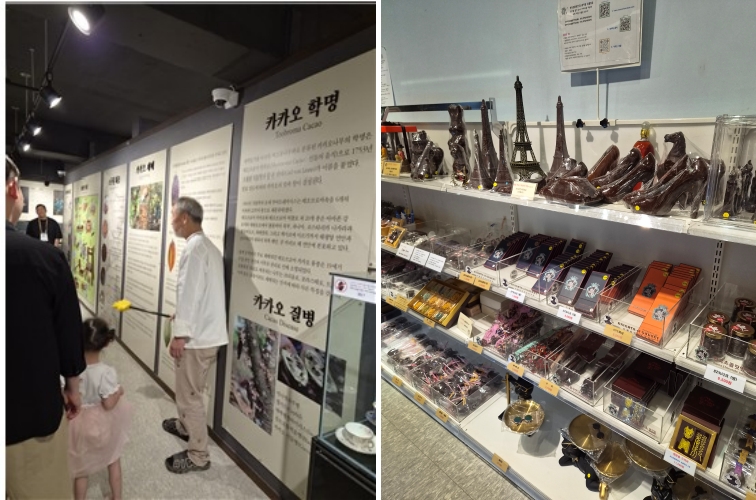 한국초콜릿연구소뮤지엄 사진 3