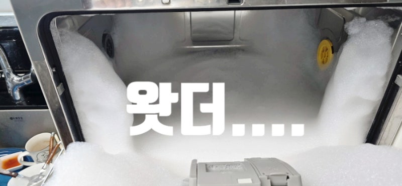 올바른 식세기청소방법? 다이소 슈가버블 기름때 세정제 식세기청소 대참사
