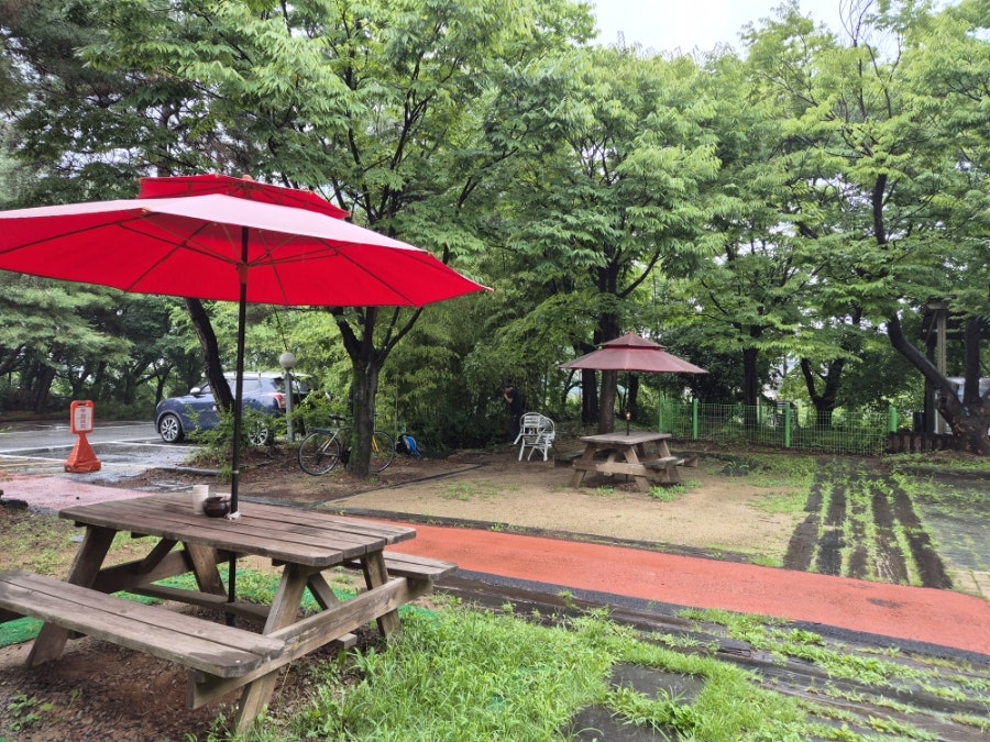 황도바지락칼국수 사진 2